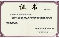 中国美发美容团体委员证书